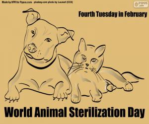 пазл Всемирный день стерилизации животных
